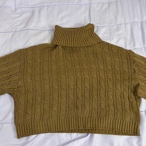 cropped brown turtleneck